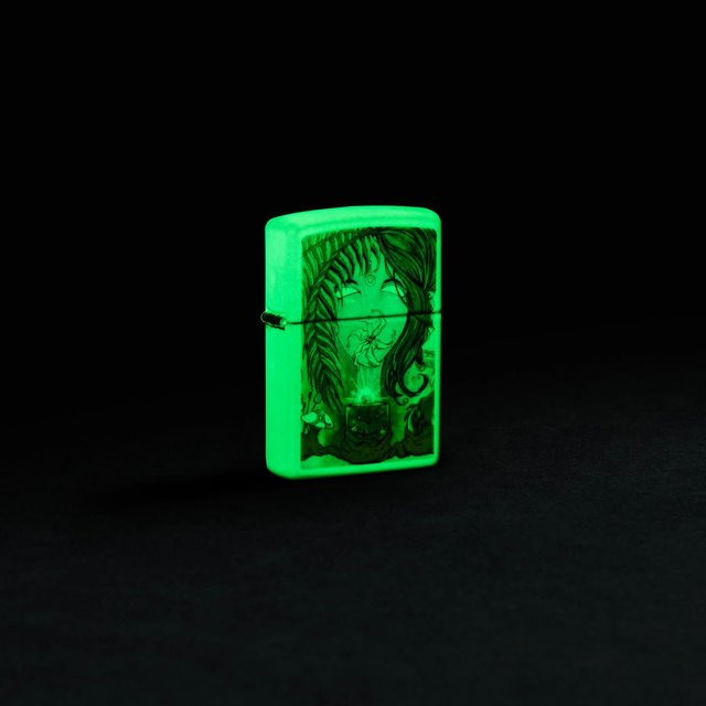 ZIPPO LIGHTER SEAN DIETRICH 48995