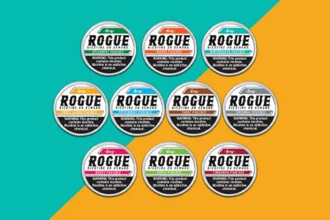 ROGUE NICOTINE POUCHES 5CT